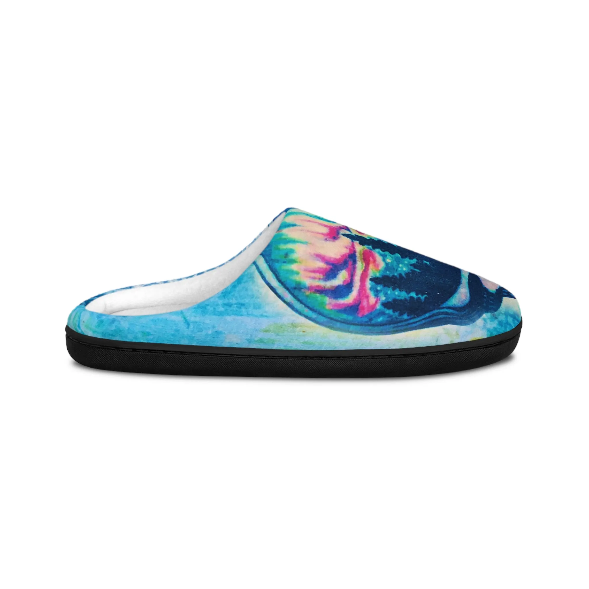 Aurora Borealis Skull Women's Slippers