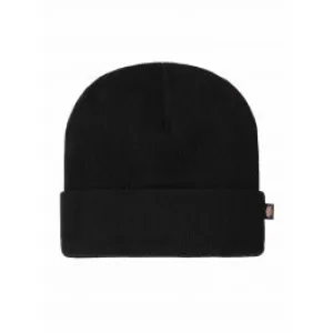 Thinsulate&#x20;Watch&#x20;Hat&#x20;-&#x20;Dickies